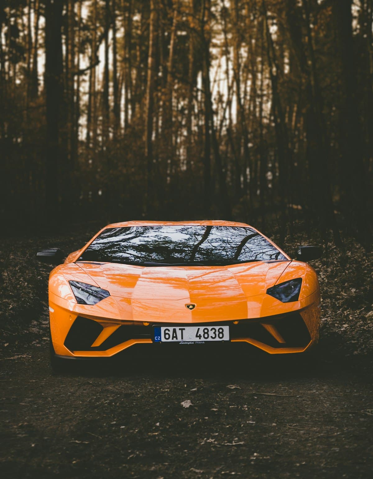 Lamborghini orange en forêt